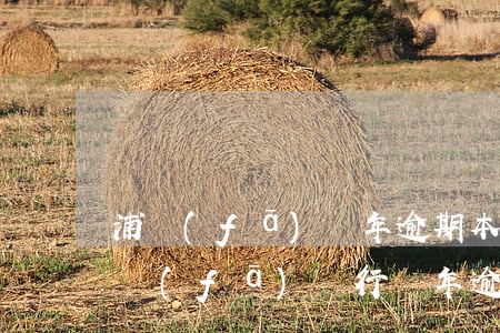 浦發(fā)兩年逾期本金十萬利息多少，浦發(fā)銀行兩年逾期，本金10萬的利息是多少？